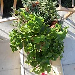 Apartment Boutique Julija Vodice