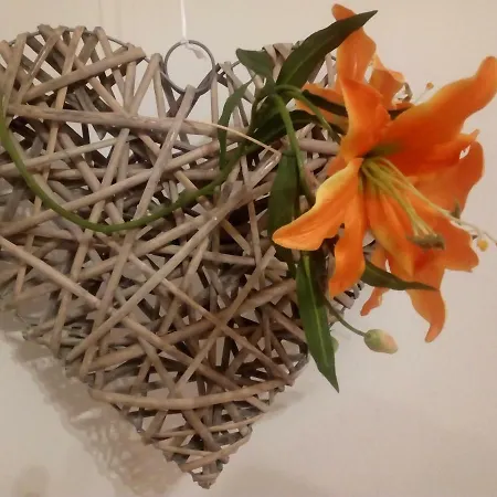 Boutique Julija Apartment Vodice